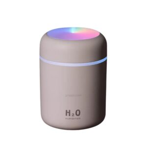 Portable Mini H2O Air Purifier Humidifier 300ML Mist Maker LED Night Lamp