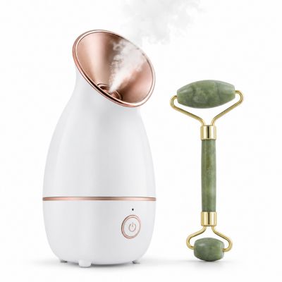 Face Massagers & Steamers Category Photo